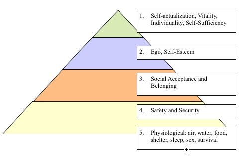 Hyerarchy of Needs Theory