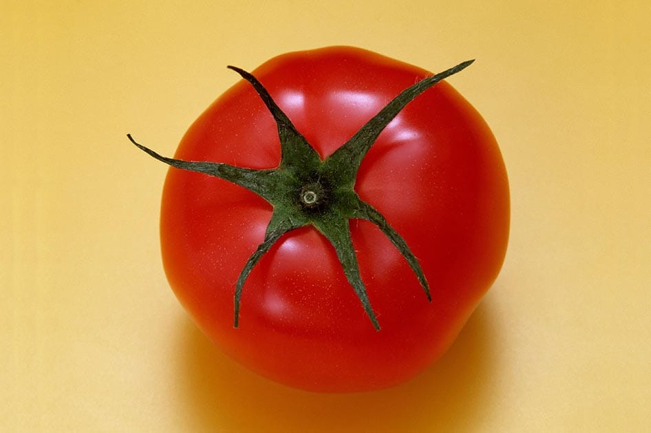 tomatoe