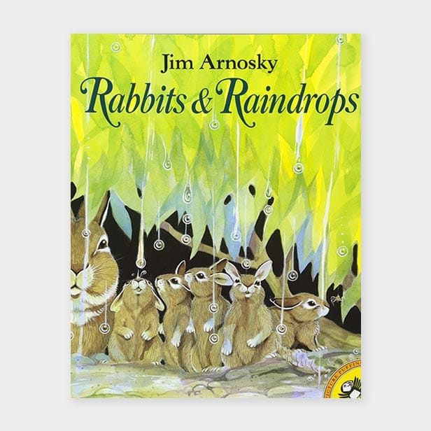 Rabbits and Raindrops