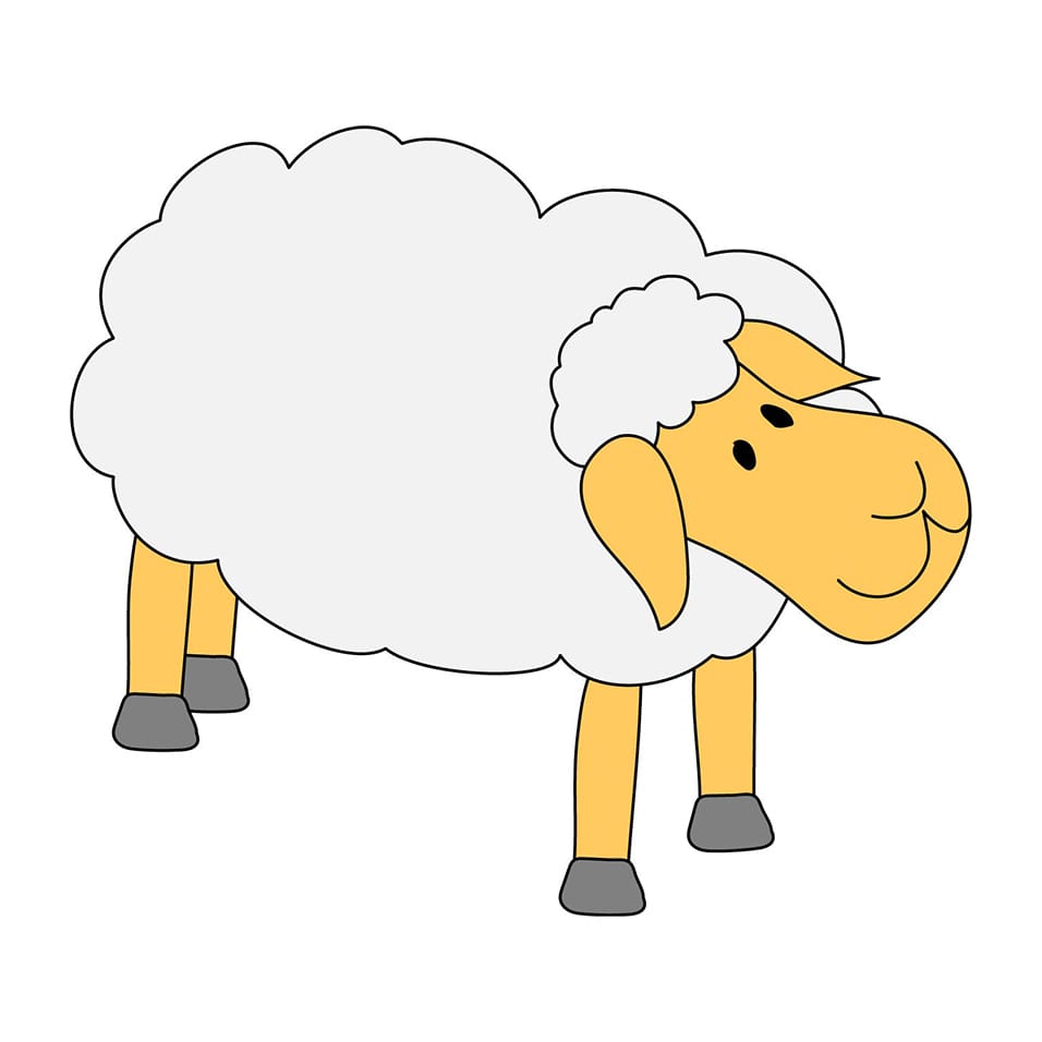 Sheep